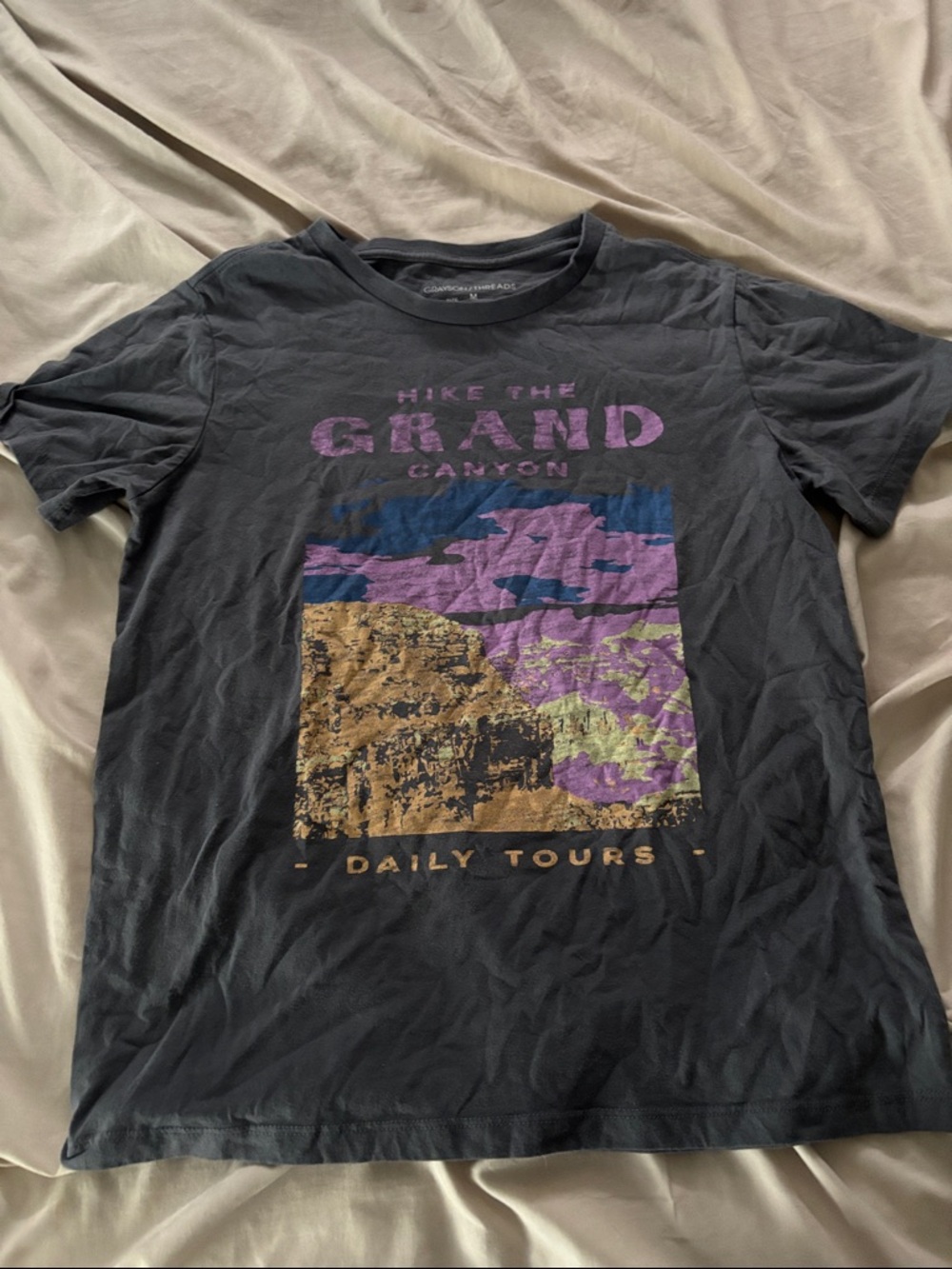 Target Womens Charcoal Black Grand Canyon Graphic Tee with Purple and Tan Print
